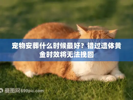 宠物安葬什么时候最好？错过遗体黄金时效将无法挽回