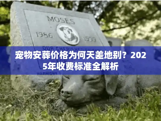 宠物安葬价格为何天差地别？2025年收费标准全解析