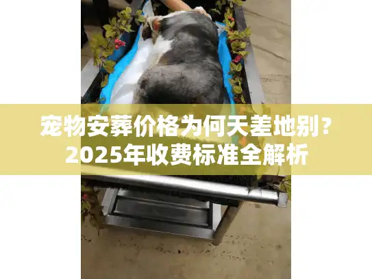 宠物安葬价格为何天差地别？2025年收费标准全解析
