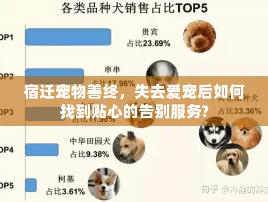 宿迁宠物善终，失去爱宠后如何找到贴心的告别服务?