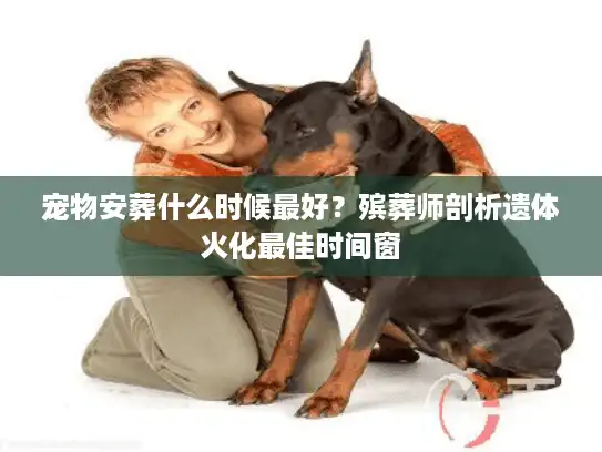 宠物安葬什么时候最好？殡葬师剖析遗体火化最佳时间窗