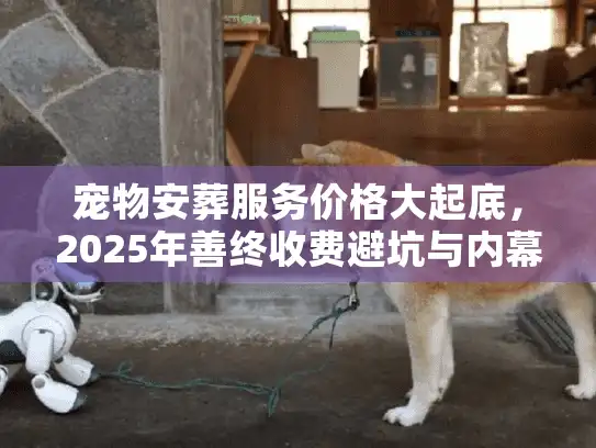宠物安葬服务价格大起底，2025年善终收费避坑与内幕