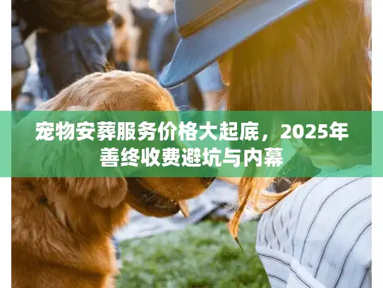 宠物安葬服务价格大起底，2025年善终收费避坑与内幕