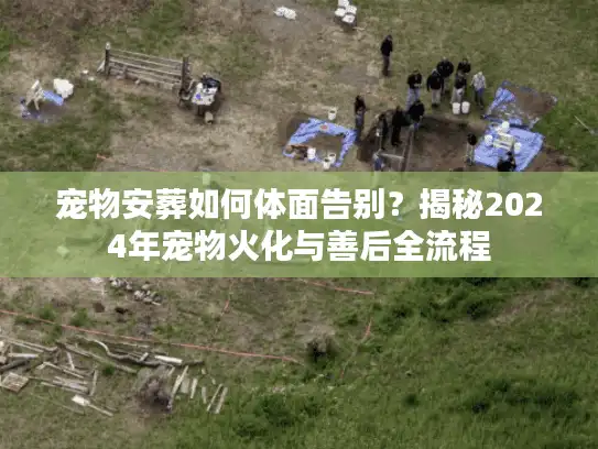 宠物安葬如何体面告别？揭秘2024年宠物火化与善后全流程