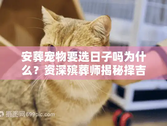 安葬宠物要选日子吗为什么？资深殡葬师揭秘择吉背后的真相