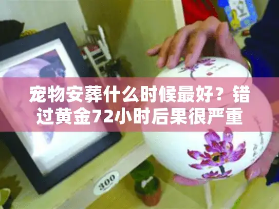 宠物安葬什么时候最好？错过黄金72小时后果很严重