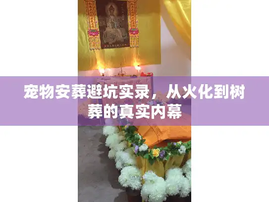 宠物安葬避坑实录，从火化到树葬的真实内幕