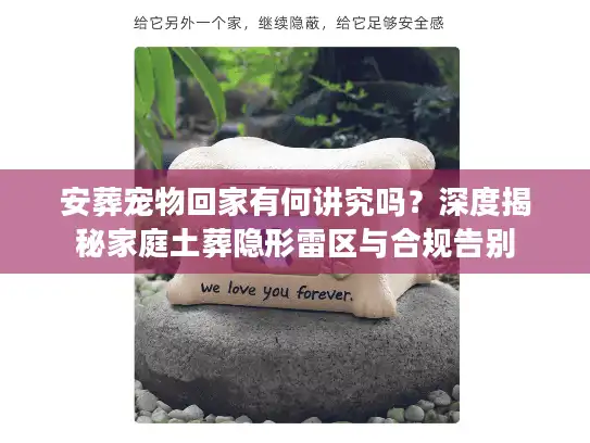安葬宠物回家有何讲究吗？深度揭秘家庭土葬隐形雷区与合规告别