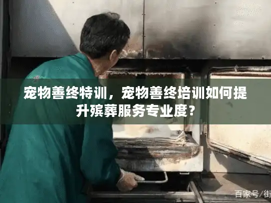 宠物善终特训，宠物善终培训如何提升殡葬服务专业度？