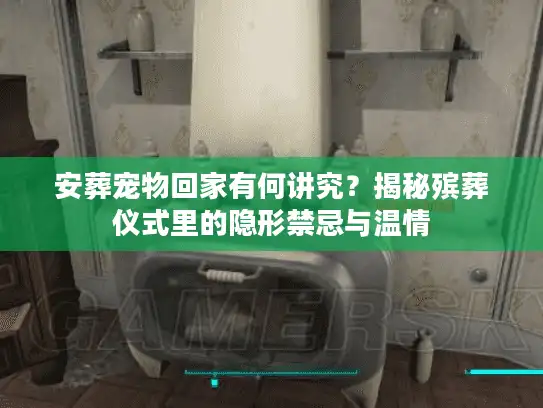 安葬宠物回家有何讲究？揭秘殡葬仪式里的隐形禁忌与温情