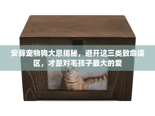 安葬宠物狗大忌揭秘，避开这三类致命误区，才是对毛孩子最大的爱