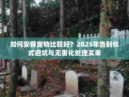 如何安葬宠物比较好？2025年告别仪式避坑与无害化处理实录
