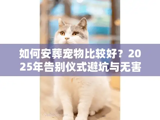 如何安葬宠物比较好？2025年告别仪式避坑与无害化处理实录