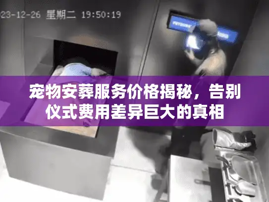 宠物安葬服务价格揭秘，告别仪式费用差异巨大的真相