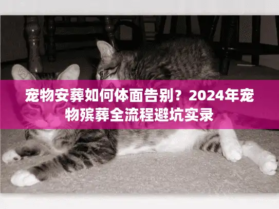 宠物安葬如何体面告别？2024年宠物殡葬全流程避坑实录