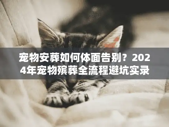 宠物安葬如何体面告别？2024年宠物殡葬全流程避坑实录