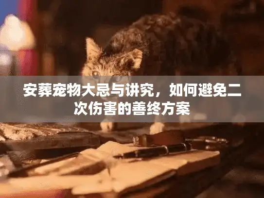 安葬宠物大忌与讲究，如何避免二次伤害的善终方案