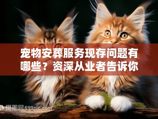 宠物安葬服务现存问题有哪些？资深从业者告诉你避坑真相