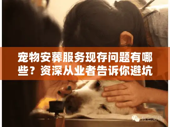 宠物安葬服务现存问题有哪些？资深从业者告诉你避坑真相