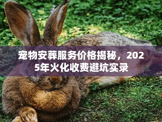 宠物安葬服务价格揭秘，2025年火化收费避坑实录