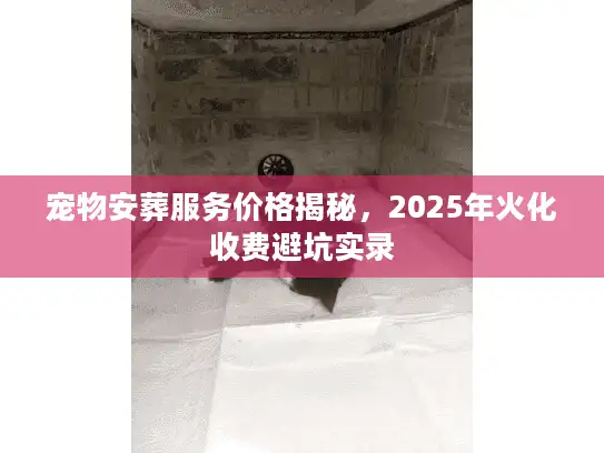 宠物安葬服务价格揭秘，2025年火化收费避坑实录