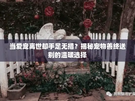 当爱宠离世却手足无措？揭秘宠物善终送别的温暖选择