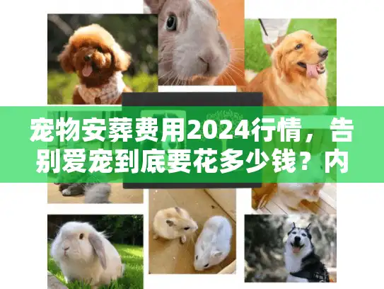 宠物安葬费用2024行情，告别爱宠到底要花多少钱？内行揭秘隐形消费