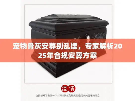 宠物骨灰安葬别乱埋，专家解析2025年合规安葬方案