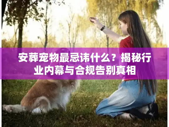 安葬宠物最忌讳什么？揭秘行业内幕与合规告别真相