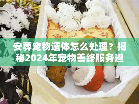 安葬宠物遗体怎么处理？揭秘2024年宠物善终服务避坑实录