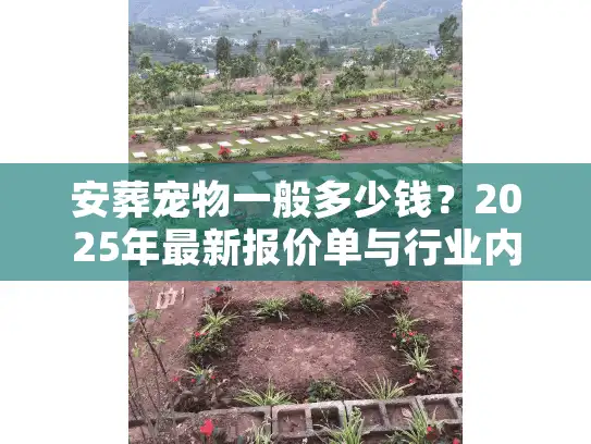 安葬宠物一般多少钱？2025年最新报价单与行业内幕揭秘