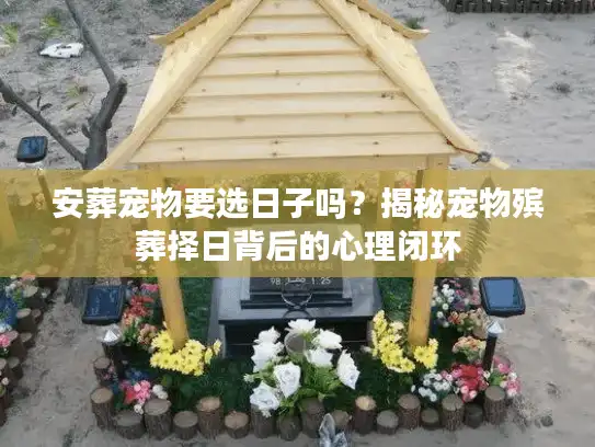安葬宠物要选日子吗？揭秘宠物殡葬择日背后的心理闭环