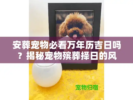 安葬宠物必看万年历吉日吗？揭秘宠物殡葬择日的风水门道