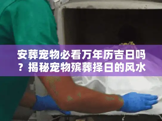 安葬宠物必看万年历吉日吗？揭秘宠物殡葬择日的风水门道