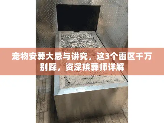宠物安葬大忌与讲究，这3个雷区千万别踩，资深殡葬师详解