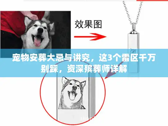宠物安葬大忌与讲究，这3个雷区千万别踩，资深殡葬师详解