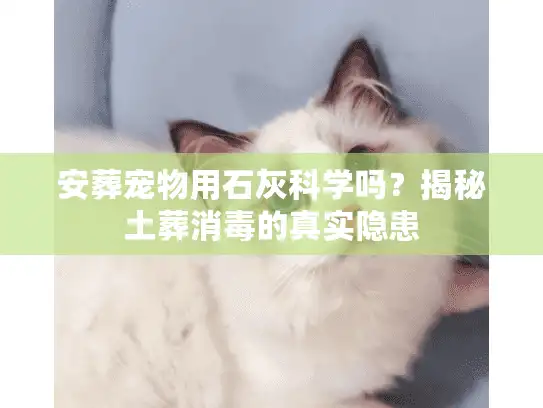 安葬宠物用石灰科学吗？揭秘土葬消毒的真实隐患