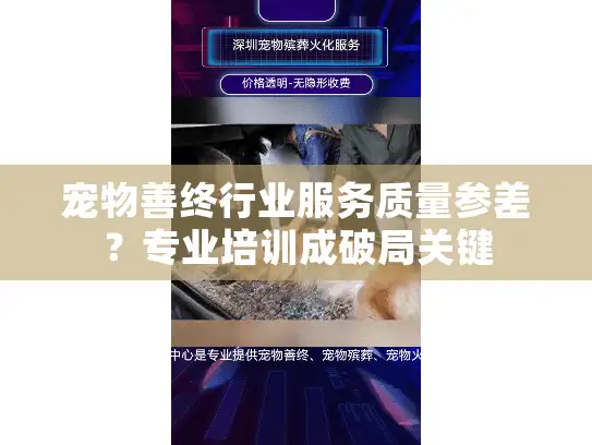宠物善终行业服务质量参差？专业培训成破局关键