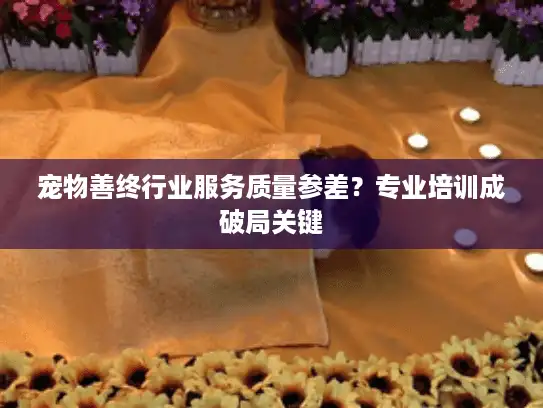 宠物善终行业服务质量参差？专业培训成破局关键