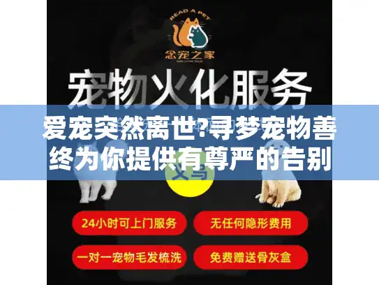 爱宠突然离世?寻梦宠物善终为你提供有尊严的告别选择