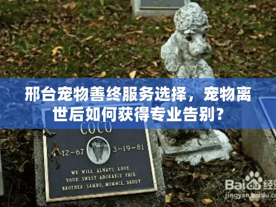 邢台宠物善终服务选择，宠物离世后如何获得专业告别？