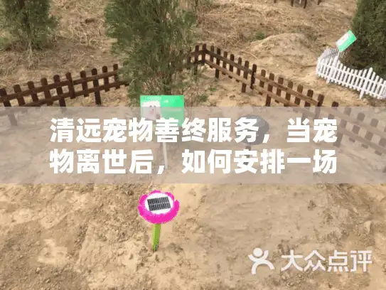 清远宠物善终服务，当宠物离世后，如何安排一场体面而暖心的告别？