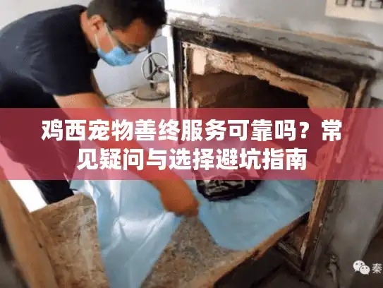 鸡西宠物善终服务可靠吗？常见疑问与选择避坑指南
