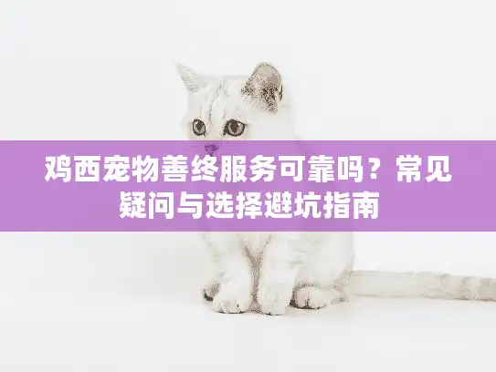 鸡西宠物善终服务可靠吗？常见疑问与选择避坑指南