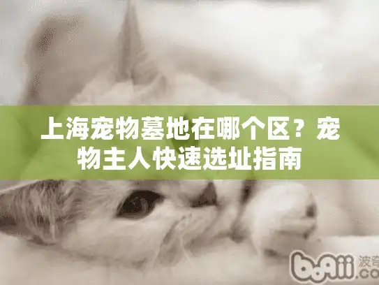 上海宠物墓地在哪个区？宠物主人快速选址指南