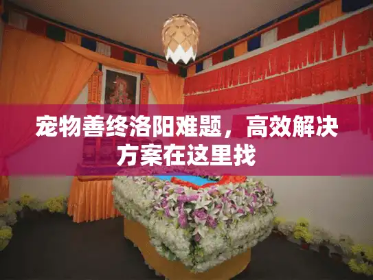 宠物善终洛阳难题，高效解决方案在这里找