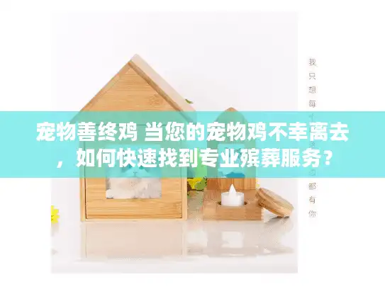 宠物善终鸡 当您的宠物鸡不幸离去，如何快速找到专业殡葬服务？