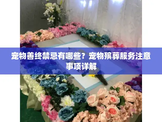 宠物善终禁忌有哪些？宠物殡葬服务注意事项详解