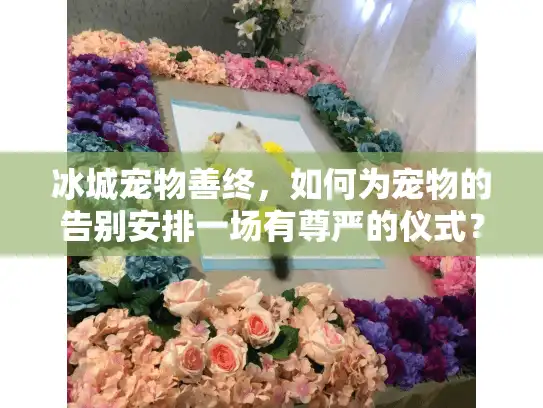 冰城宠物善终，如何为宠物的告别安排一场有尊严的仪式？