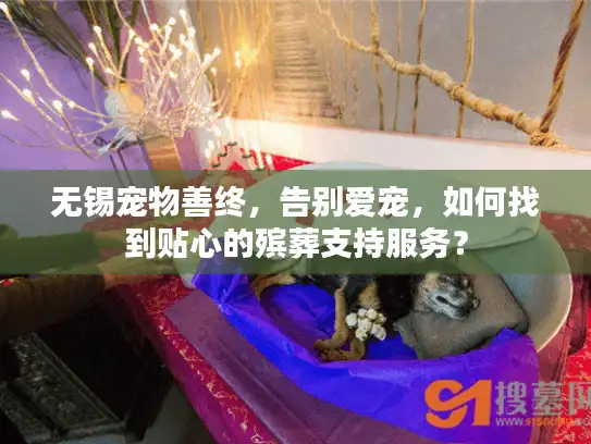 无锡宠物善终，告别爱宠，如何找到贴心的殡葬支持服务？